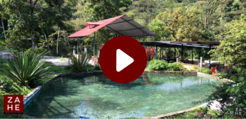 CASA BONELLI Análisis y Descripción del Predio